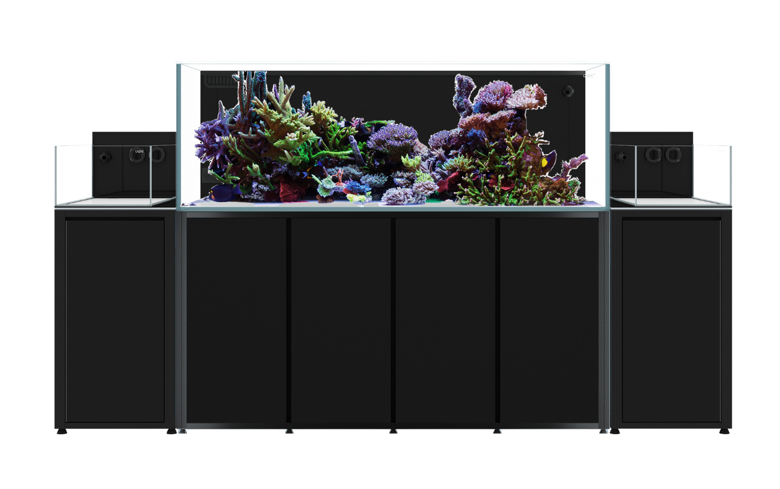 Reef X Aquarium Range | Cade Aquariums